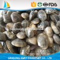 frozen boiled yellow short necked clam on time delivery